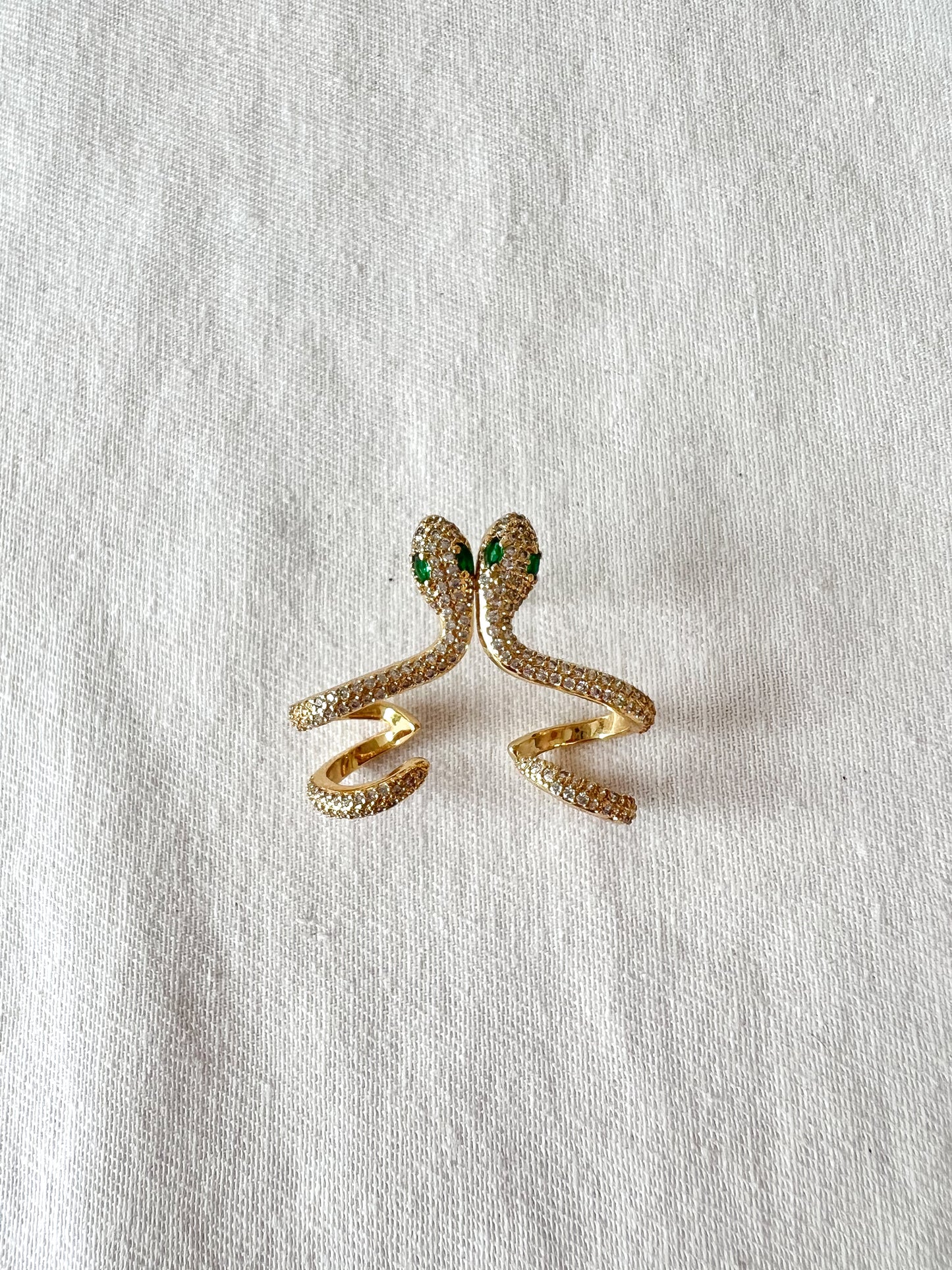 Snake Eye Earring