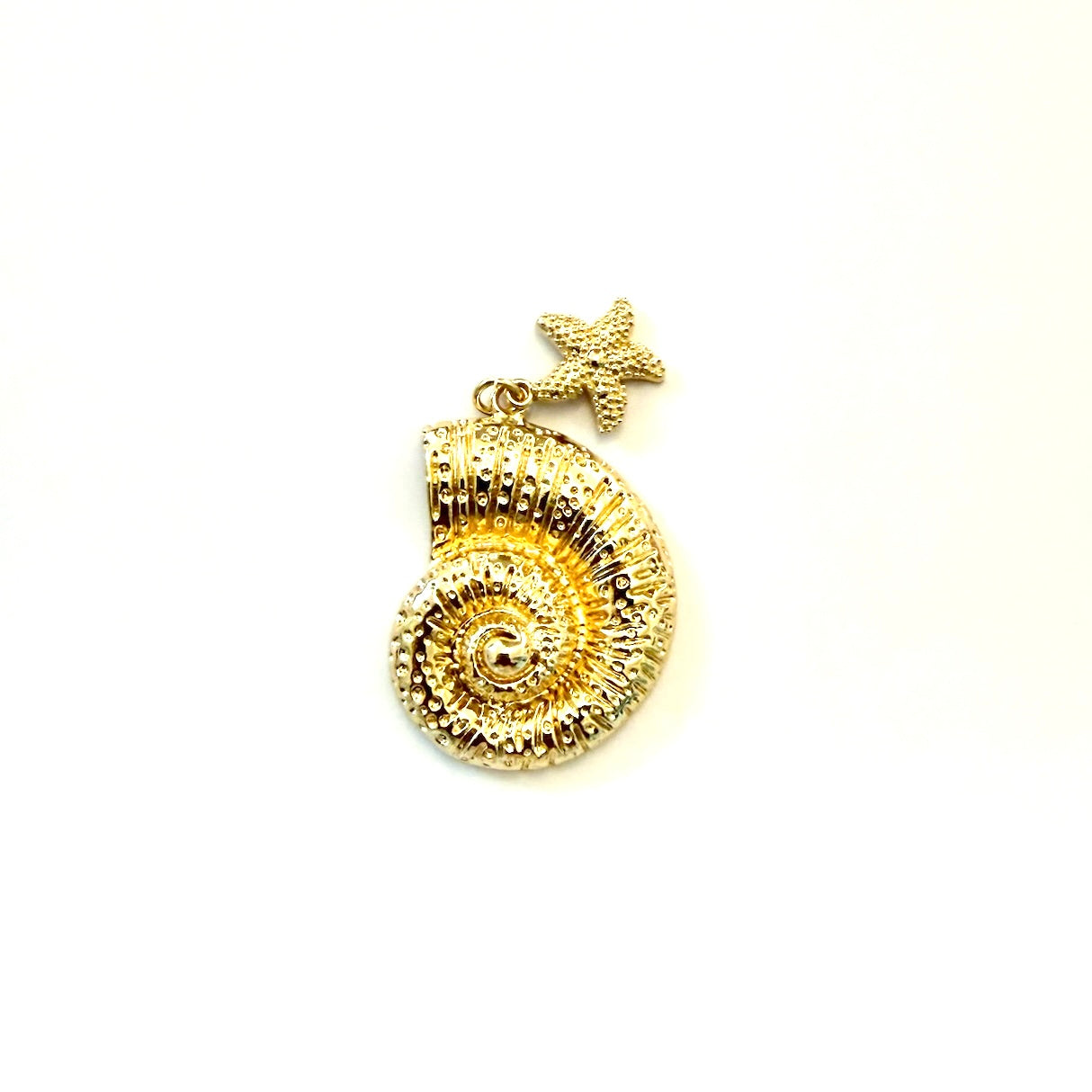 Starfish and Shell