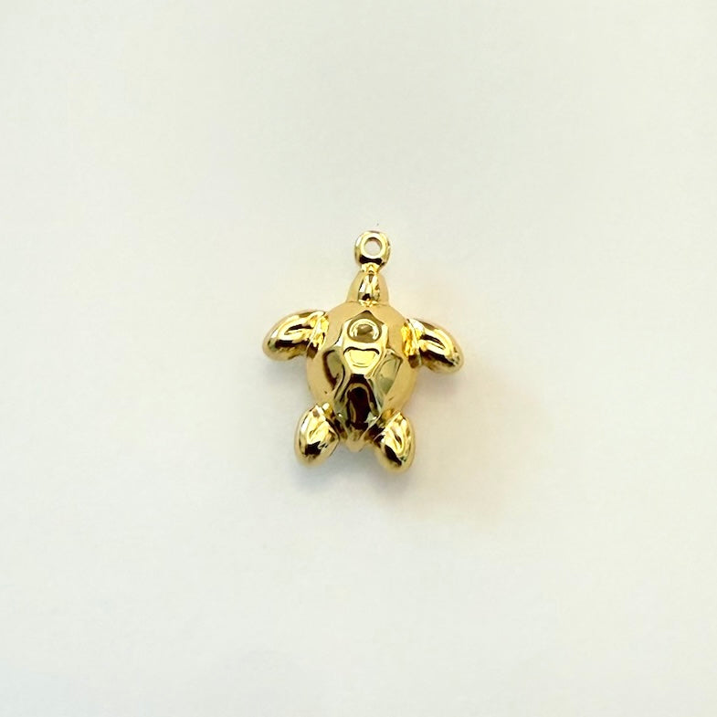 Turtle Charm